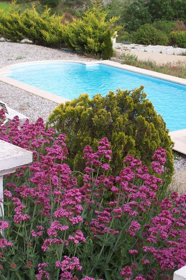 L'Ensoleillee Bed & Breakfast Rosans Luaran gambar